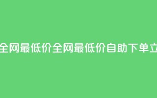 小时自助下单全网最低价 - 全网最低价自助下单，立即购买！！