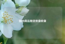 国内商品期货夜盘收盘