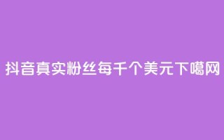 抖音真实粉丝每千个1美元