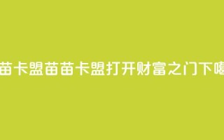 苗苗卡盟 - 苗苗卡盟——打开财富之门~
