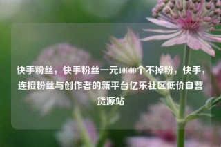 快手粉丝，快手粉丝一元10000个不掉粉，快手，连接粉丝与创作者的新平台亿乐社区低价自营货源站