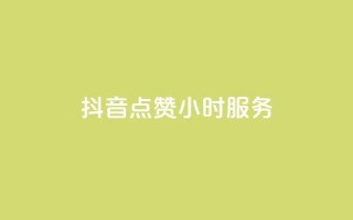 抖音点赞24小时服务,24小时自助业务下单超稳定 - 抖音业务24小时在线下单 - dy粉丝特价
