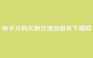 快手1元购买粉丝增加服务