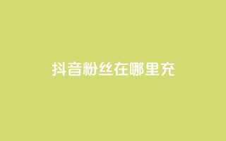 抖音粉丝在哪里充 - 如何在抖音平台给粉丝充值的详细指南!