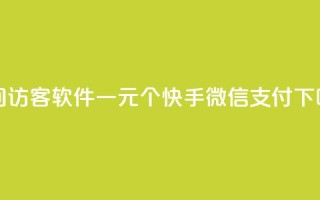 QQ空间访客软件 - 一元10个快手微信支付