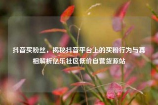 抖音买粉丝，揭秘抖音平台上的买粉行为与真相解析亿乐社区低价自营货源站
