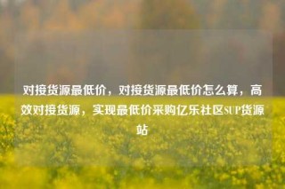 对接货源最低价，对接货源最低价怎么算，高效对接货源，实现最低价采购亿乐社区SUP货源站