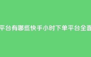 快手业务24小时下单平台有哪些 - 快手24小时下单平台全面解析与推荐！