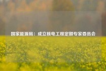 国家能源局：成立核电工程定额专家委员会