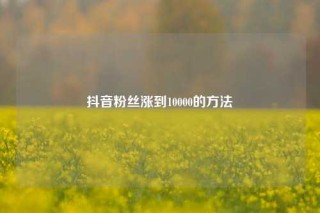 抖音粉丝涨到10000的方法
