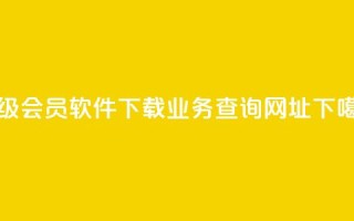 qq超级会员软件下载 - qq业务查询网址