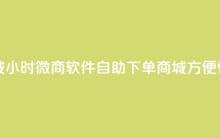 24小时微商软件自助下单商城 - 24小时微商软件自助下单商城 - 方便快捷的微商下单平台~