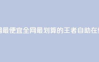 王者自助下单全网最便宜 - 全网最划算的王者自助在线订购方式~