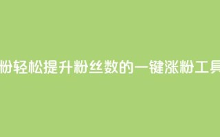 KS一键涨粉 - 轻松提升粉丝数的KS一键涨粉工具~