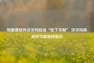 特朗普怒斥沃尔玛应该“吃下关税” 沃尔玛称将尽可能保持低价
