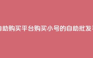 cf小号批发自助购买平台 - 购买CF小号的自助批发平台!