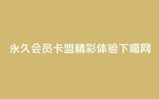 永久QQ会员卡盟，精彩体验！