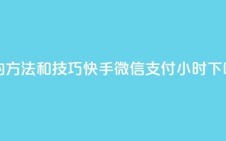 丝的方法和技巧 - 快手微信支付24小时