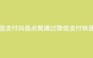 抖音点赞充值微信支付 - 抖音点赞通过微信支付快速充值指南!