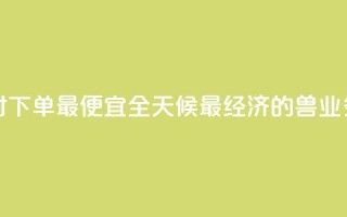 块兽业务平台24小时下单最便宜 - 全天候最经济的兽业务平台下单~