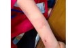 杭州9岁围棋少年疑遭父亲家暴跳楼身亡，相关部门：仍在调查中