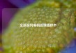 全新源码编辑器像搭积木