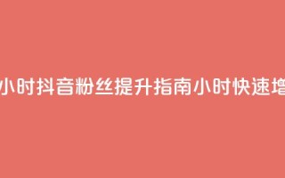 抖音粉丝业务24小时 - 抖音粉丝提升指南：24小时快速增长策略!