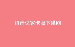 抖音16802858 - 亿家卡盟