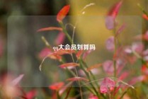 qq大会员划算吗