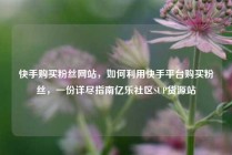 快手购买粉丝网站，如何利用快手平台购买粉丝，一份详尽指南亿乐社区SUP货源站
