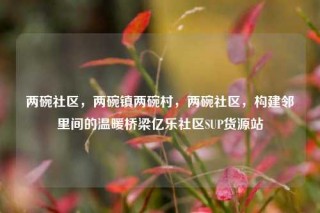 两碗社区，两碗镇两碗村，两碗社区，构建邻里间的温暖桥梁亿乐社区SUP货源站