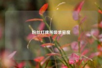 粉丝灯牌等级亲密度