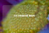小红书靠播放量 赚钱吗?