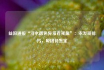 益阳通报“河水颜色异常有死鱼”：未发现排污，原因待鉴定