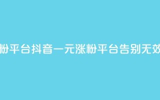 抖音一元涨粉1000平台 - 抖音一元涨粉1000平台，告别无效粉丝!