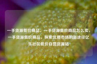 一手货源低价商品，一手货源低价商品怎么卖，一手货源低价商品，探索优质市场的新途径亿乐社区低价自营货源站