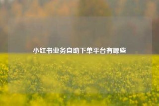 小红书业务自助下单平台有哪些