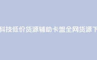 全网科技低价货源辅助 - 卡盟全网货源