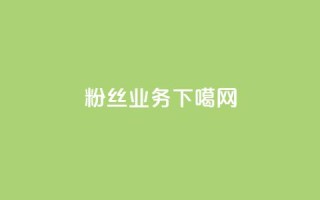 粉丝业务