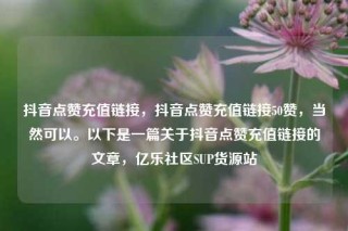 抖音点赞充值链接，抖音点赞充值链接50赞，当然可以。以下是一篇关于抖音点赞充值链接的文章，亿乐社区SUP货源站