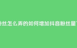抖音粉丝怎么弄的 - 如何增加抖音粉丝量~
