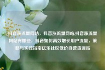 抖音涨流量网站，抖音涨流量网站,抖音涨流量网站有哪些，抖音如何高效增长用户流量，策略与实践指南亿乐社区低价自营货源站