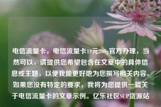 电信流量卡，电信流量卡19元200g官方办理，当然可以，请提供您希望包含在文章中的具体信息或主题，以便我能更好地为您撰写相关内容。如果您没有特定的要求，我将为您提供一篇关于电信流量卡的文章示例。亿乐社区SUP货源站