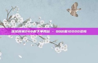 球球商城24小时下单网站 - QQ访客10000多吗