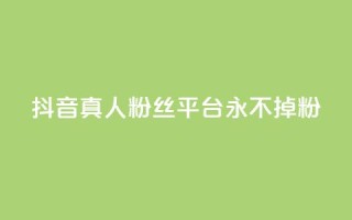 抖音真人粉丝平台 永不掉粉,ks粉丝业务怎么接 - QQ个性赞充值 - 抖音业务1000赞下单