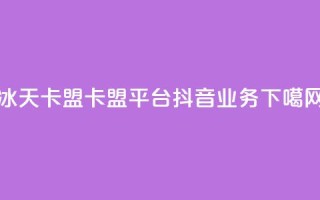冰天卡盟 - 卡盟平台抖音业务