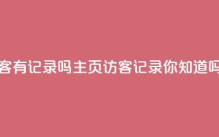 qq主页访客有记录吗(qq主页访客记录，你知道吗？)