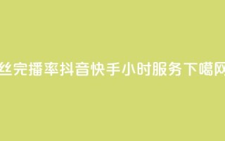 丝完播率 - 抖音快手24小时服务