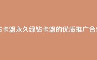 永久绿钻卡盟 - 永久绿钻卡盟的优质推广合作!