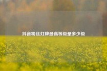 抖音粉丝灯牌最高等级是多少级